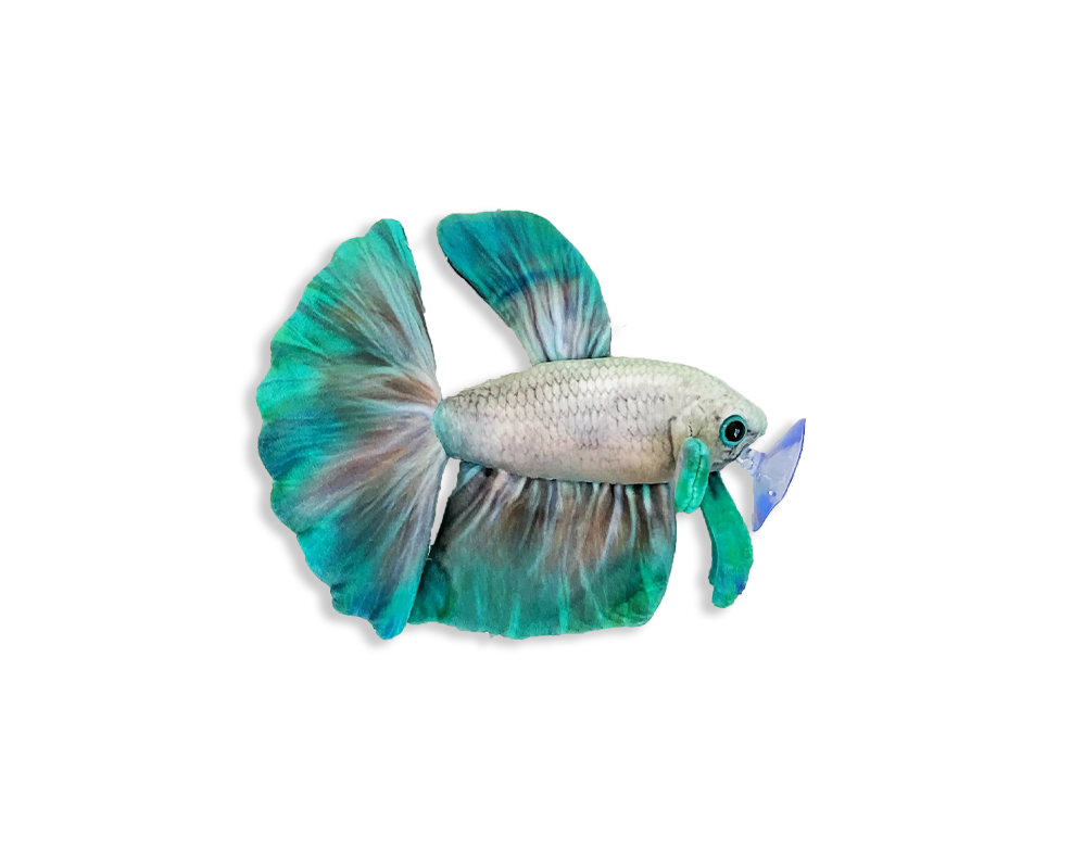 GreenPleco Jade Mist Betta Plush The Reef Aquarium Shop